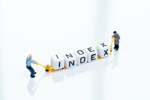 Index Funds in India